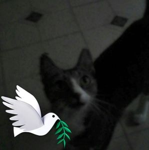 Meet your Posher, Roxanne